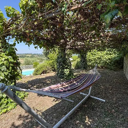 Pet Friendly In Montecchio Tr Casa vacanze Corbara (Umbria)